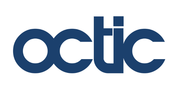 OCTIC - IT Consulting Ltd